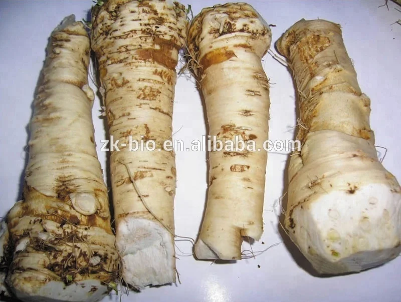 
Pure natural Dehydrated Horseradish Powder 
