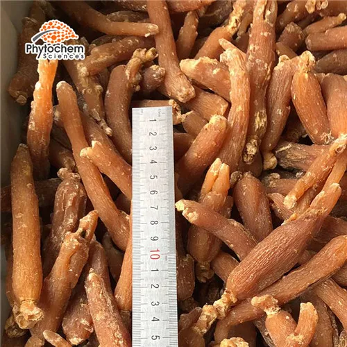 top grade korean red ginseng extract / korea 5%- 80% ginsenosides korean red ginseng extract