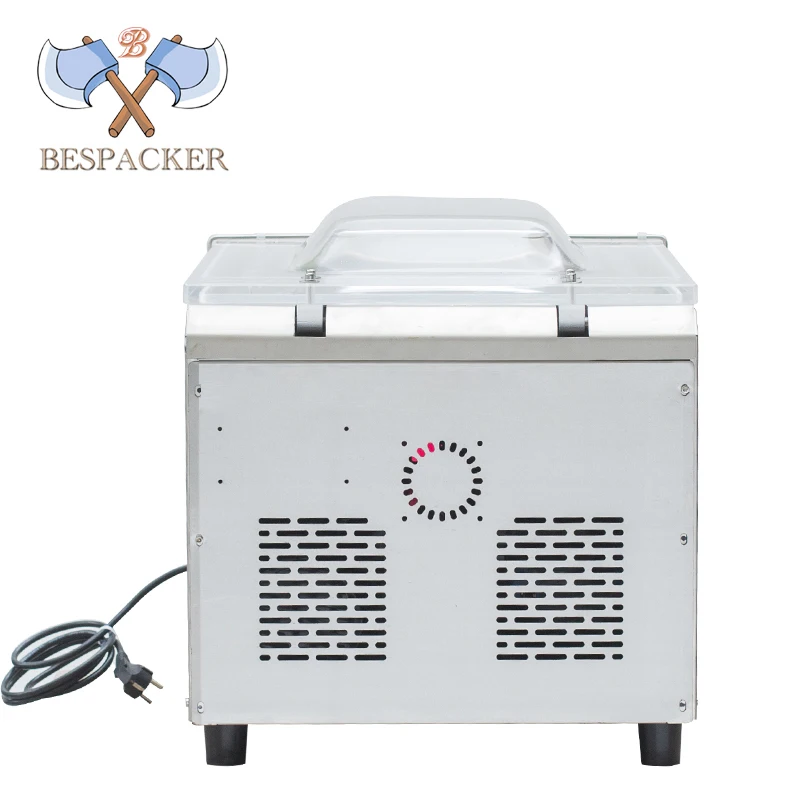 dz400 automatic fish chicken vacuum packing machine