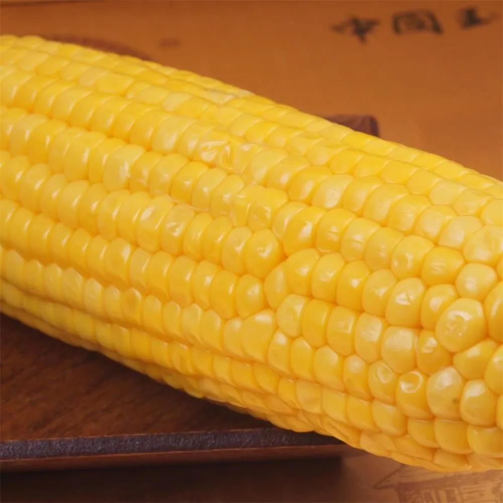 
Yellow Fresh Sweet Corn for BBQ 
