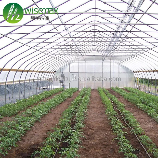 2019 Modular easily assemble customized agricultural greenhouse morocco