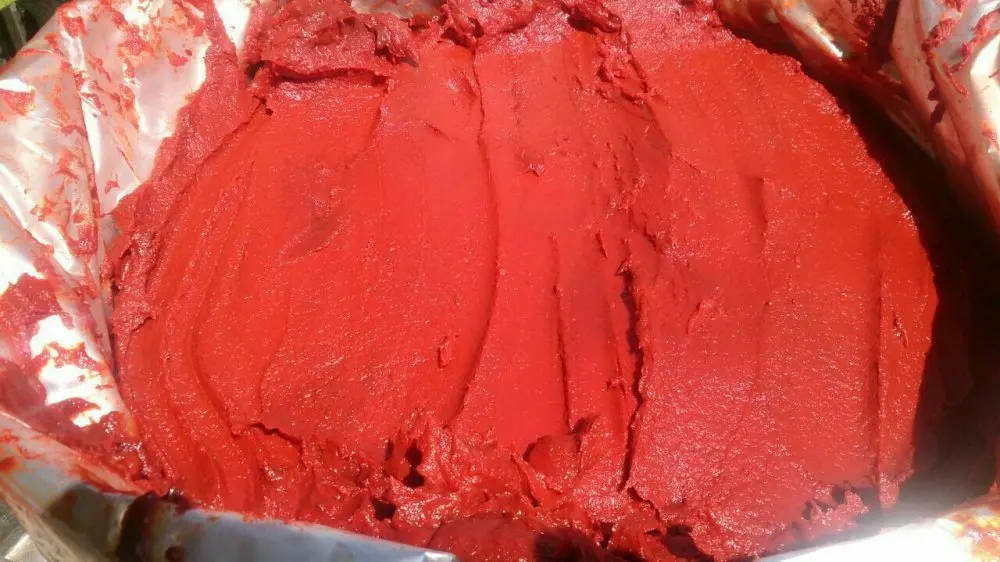 raw material tomato paste price ton brix 32 with 2021 crop