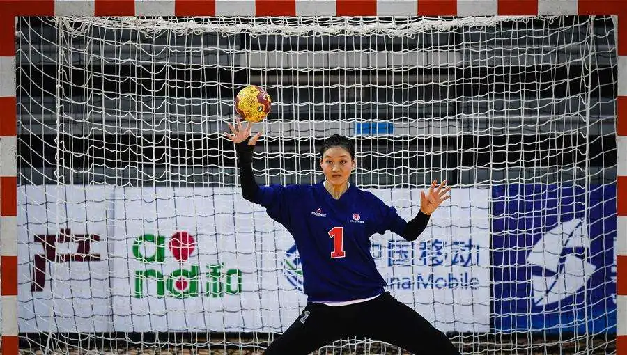 
wholesale PET/PE handball goal net hand ballsport goal net 