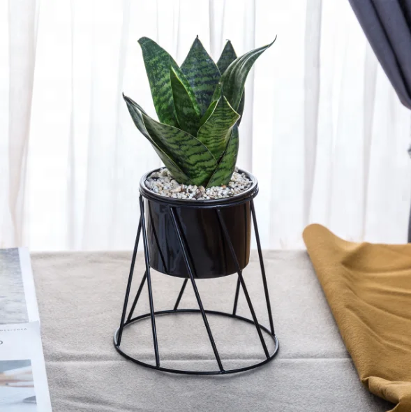 
Northern Europe style iron stand white ceramic succulents pot flower pot 