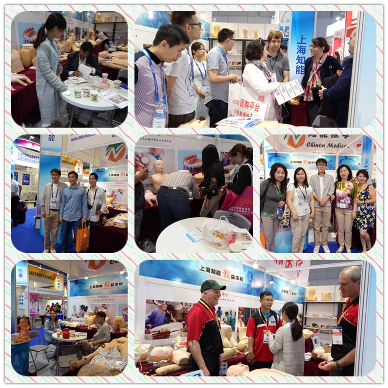 BIX-A1025 Life size human knee joint skeleton model