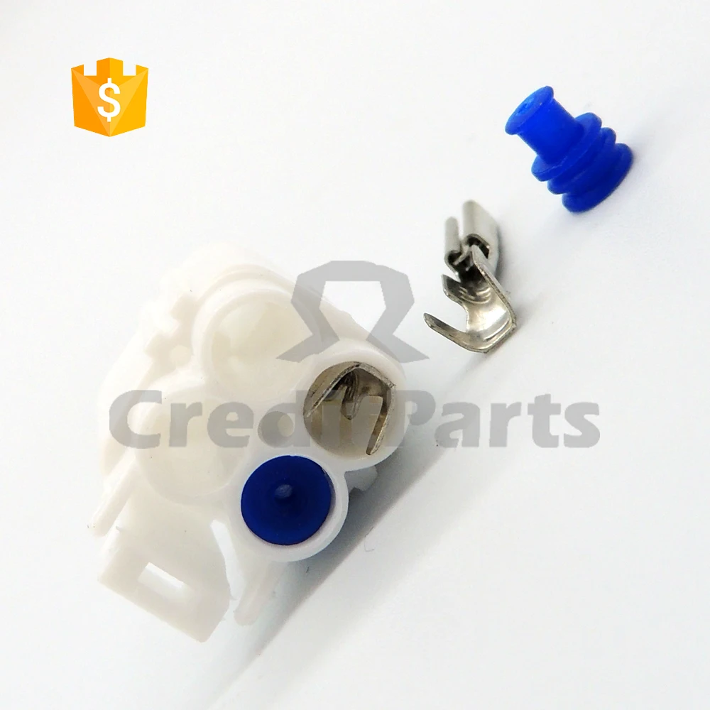 CRDT/CreditParts топливного насоса DSCN4904