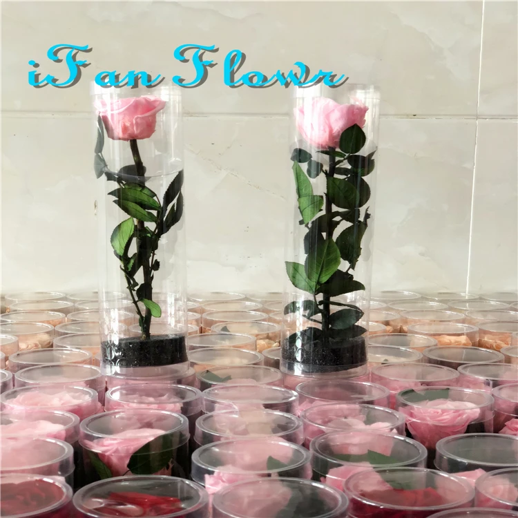 Hot new crazy selling eternal flowers preserved rose in acrylic gift box