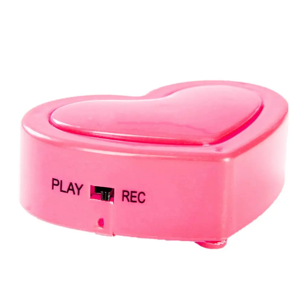 bear voice recorder (7)