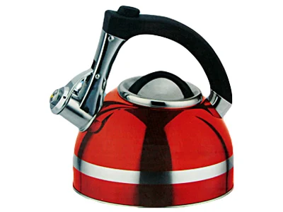 Чайник из нержавеющей стали, 3 л