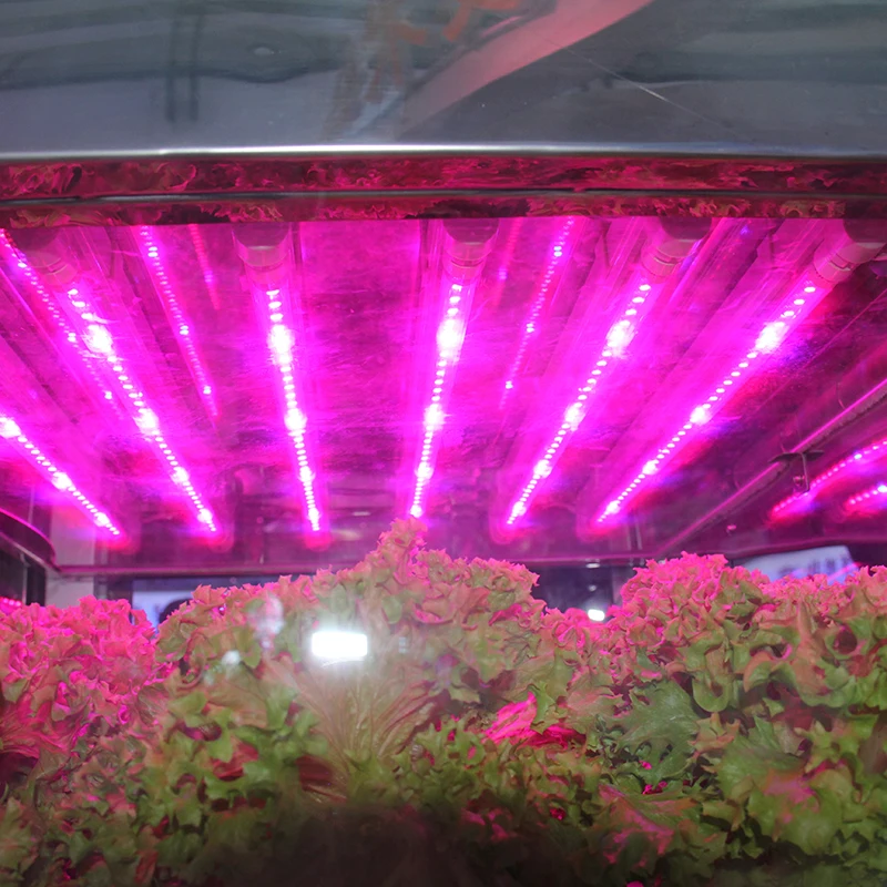 Environment-Friendly Controllable Greenhouse Hydroponics