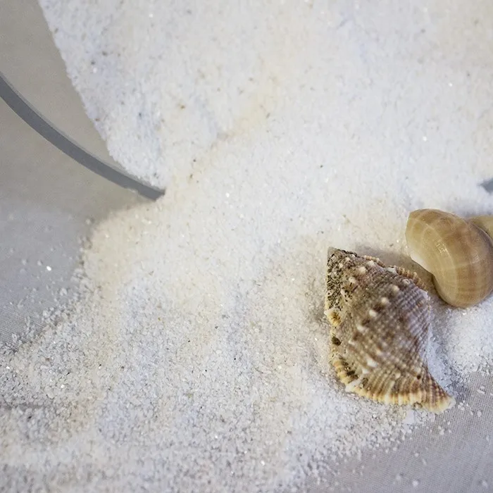 Wholesale Sea Shell For Home Decoration