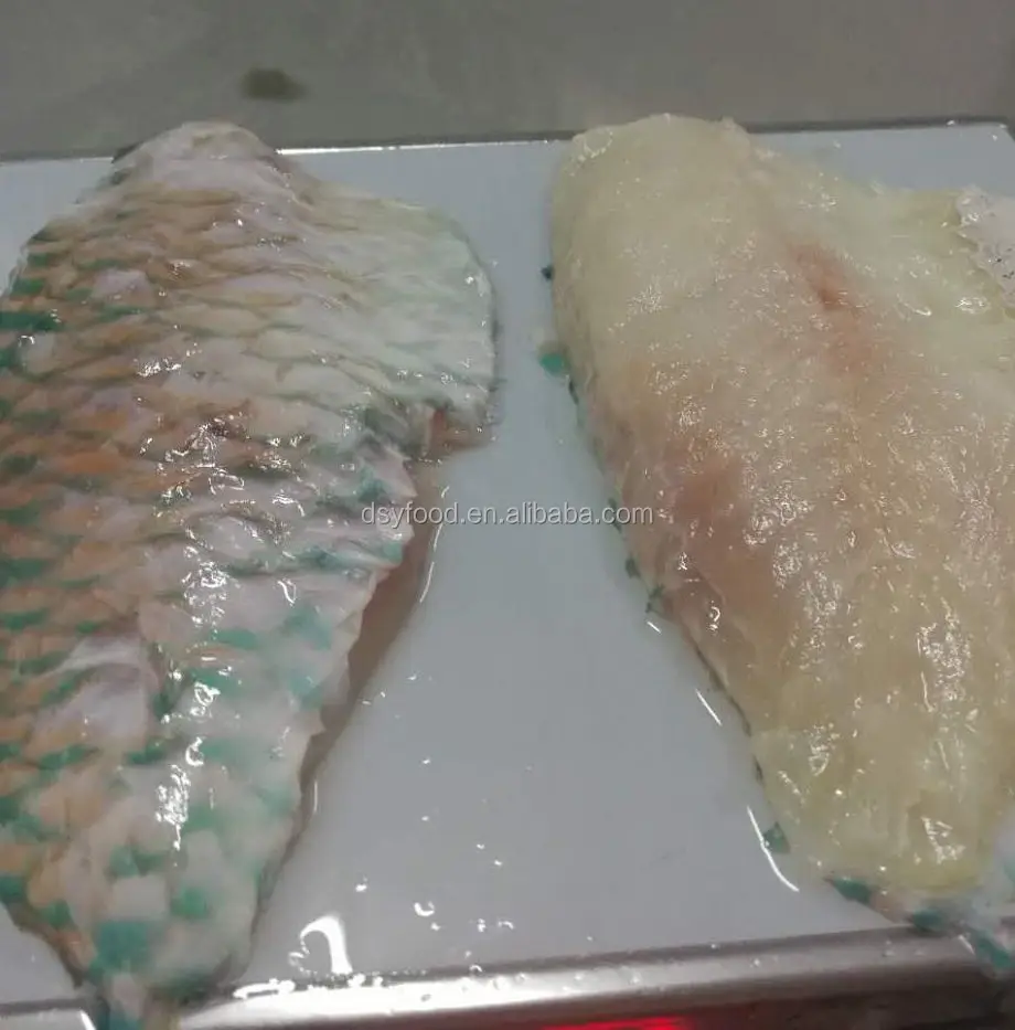 Frozen Parrot Fish Fillet Indonesia