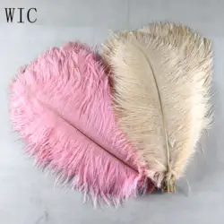 Carnival Costume Decoration 15-45cm Dyed Colorful Ostrich Feathers for Festival Samba Garments