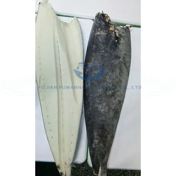 
High quality frozen oilfish fillet 