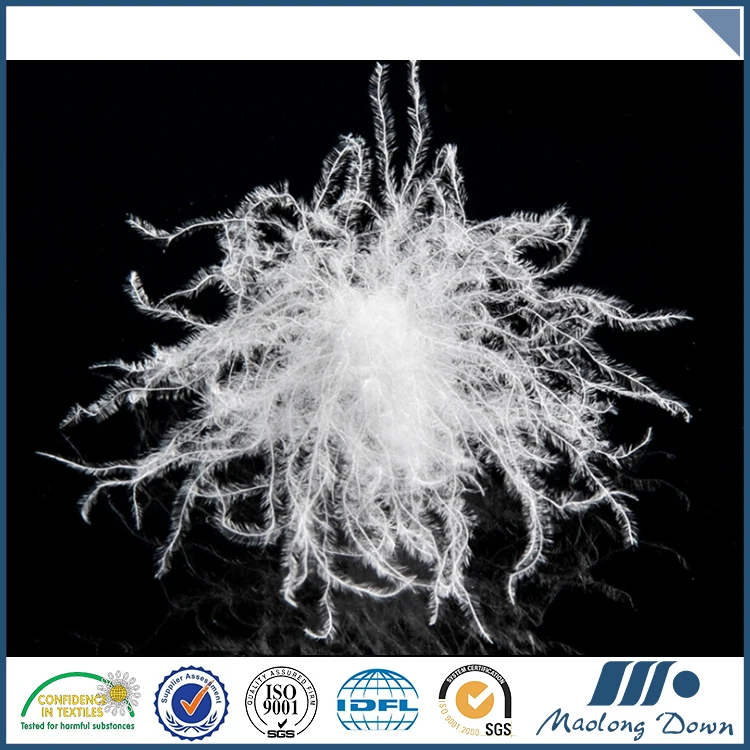 
Big down cluster 90% 700FP buy goose down fill 