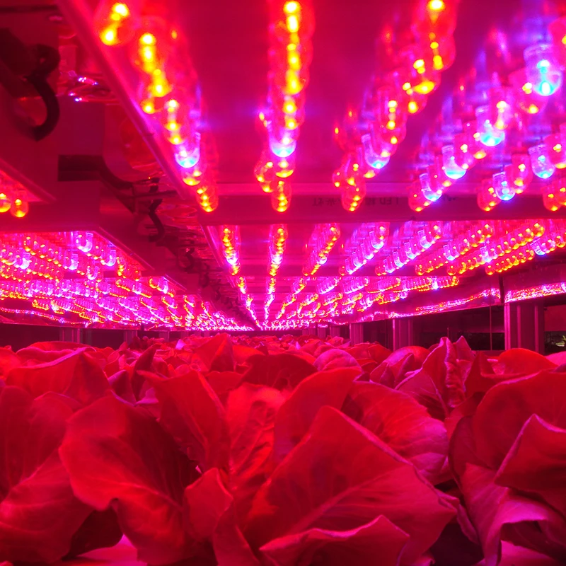 Environment-Friendly Controllable Greenhouse Hydroponics