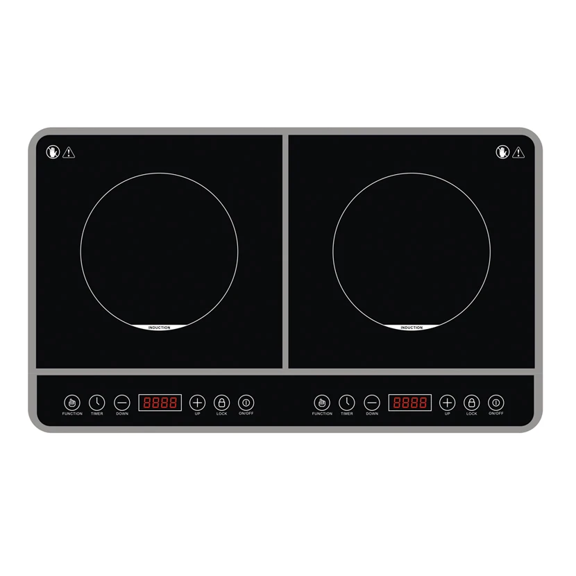 Dual Voltage Impex Battery Powered Induction Cooker