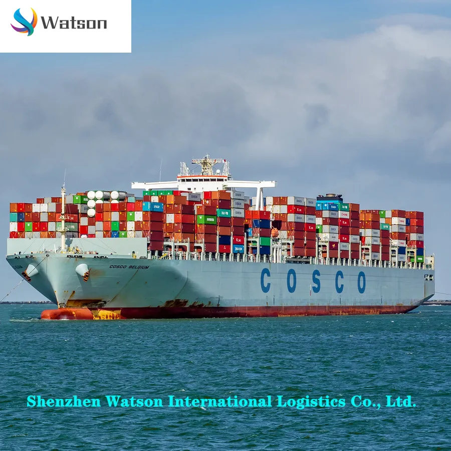 
China to EU countries United Kingdom France Spain Germany Italy Netherlands to the sea transport DDU/DDP transport services 