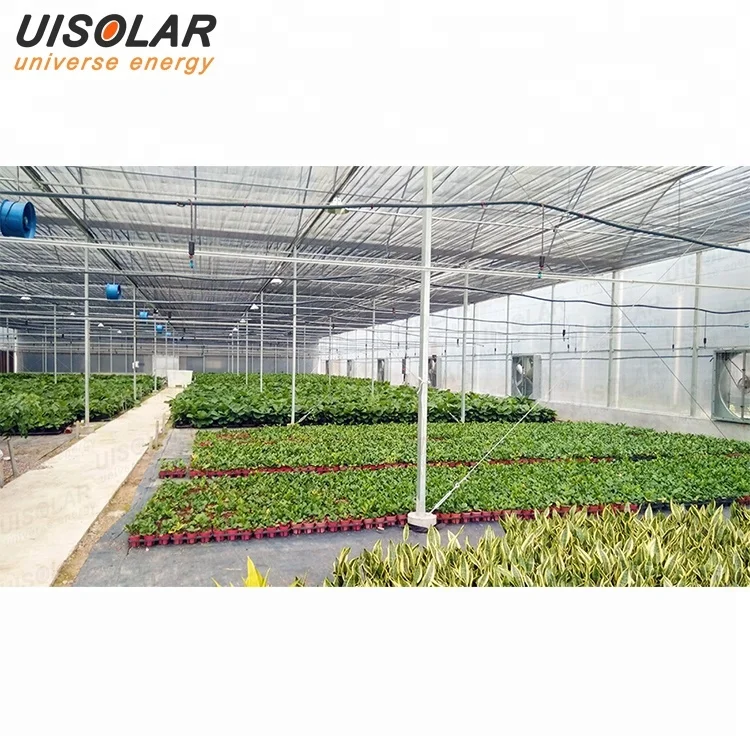 Galvanized steel structure agricultural pe film greenhouse
