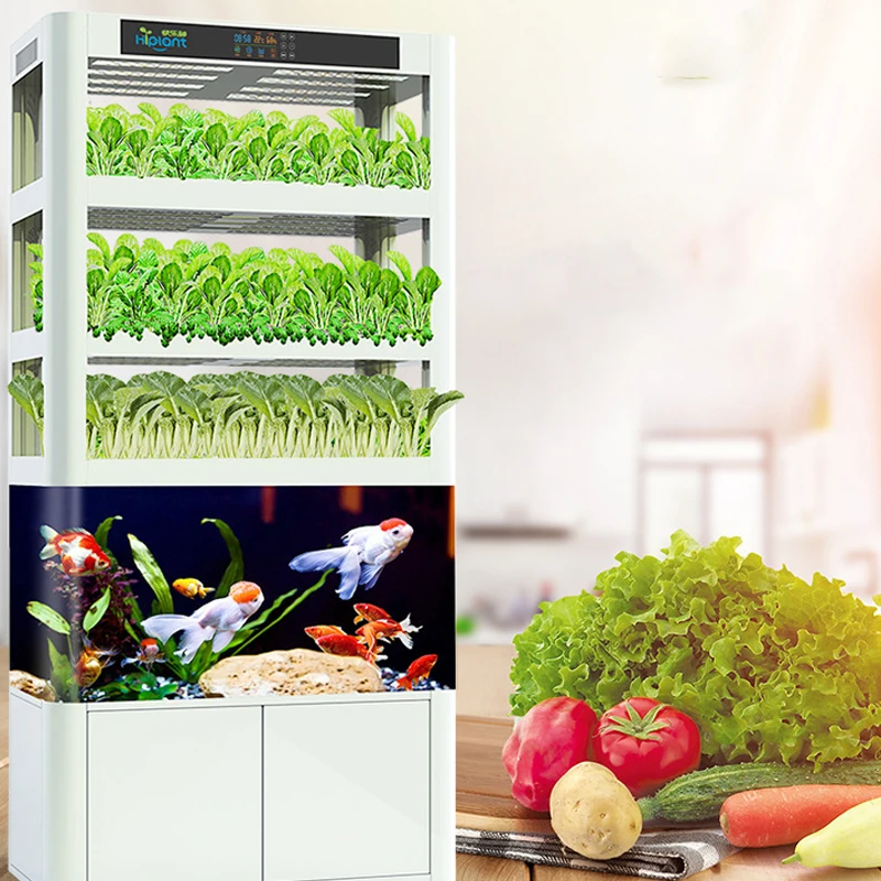  Новые идеи продукции 2019 Интеллектуальный инвентарь коммерческие системы выращивания аквапонных