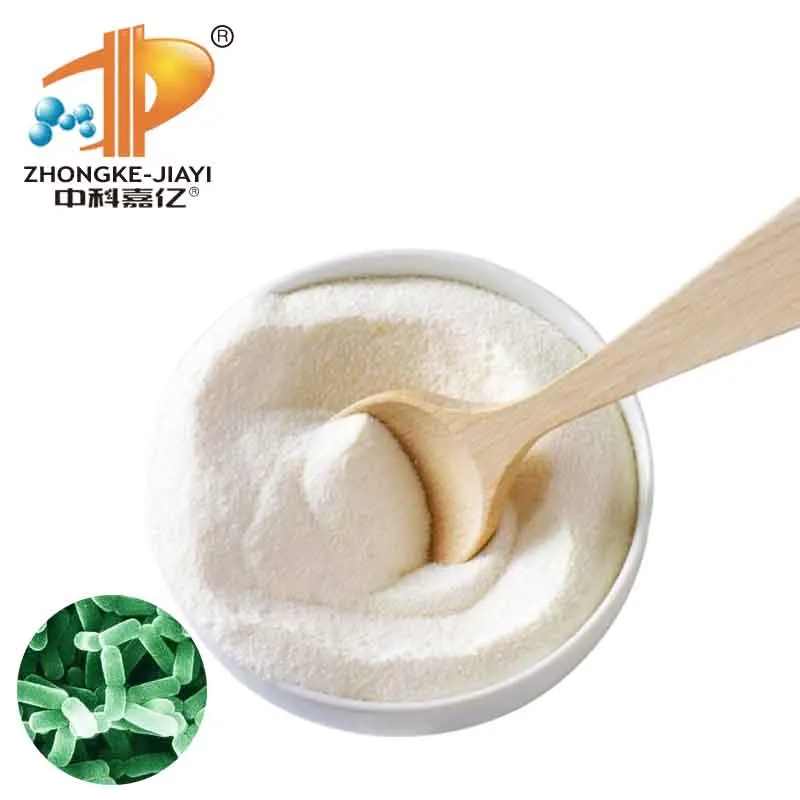 
China factory supplier Natural Lactobacillus Reuteri Freeze Dried Powdered probiotics 