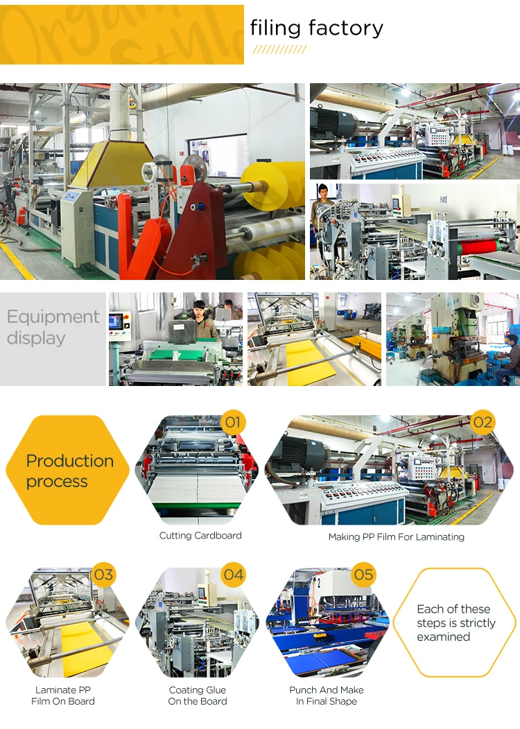 Customized Clear Pockets File A4 Size PP Plastic Display Book File Folder