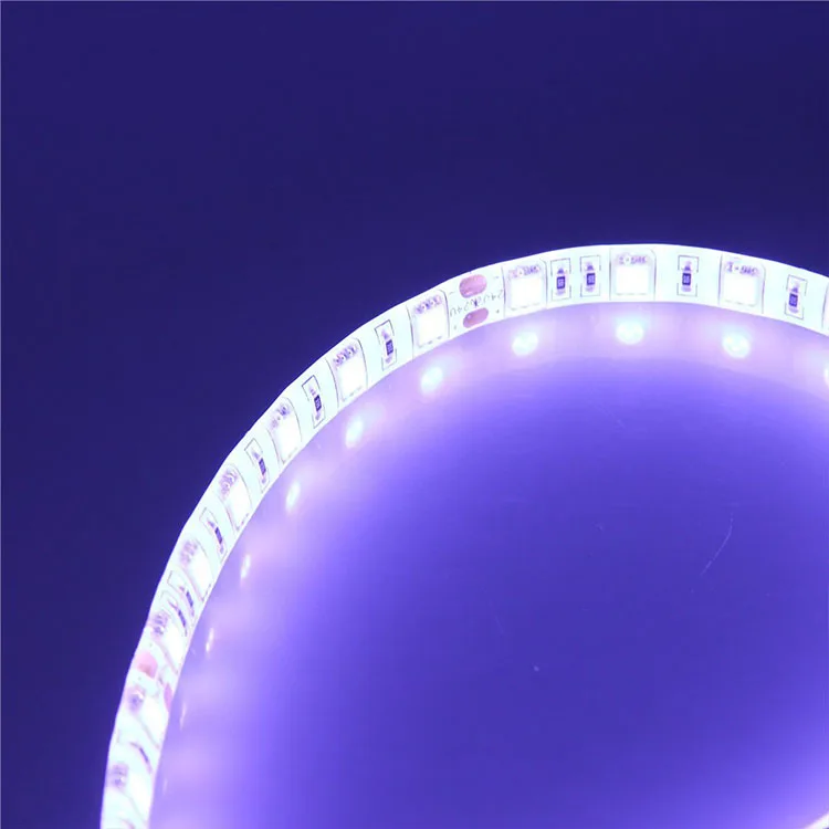 
24v 5050 led belt light waterproof ip65 led flexible strip White Warm White Blue Red 