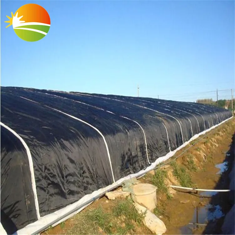 Greenhouse with High Quality Quilt