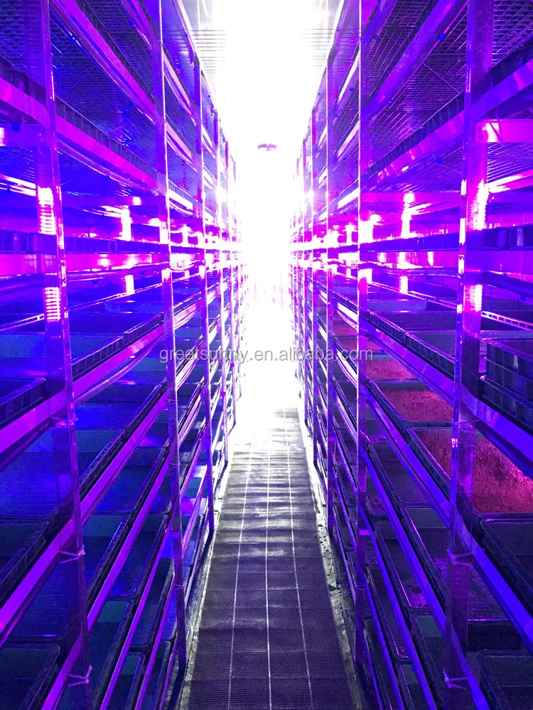 
cow farm equipment 1000kg fodder machine / hydroponic fodder systems/ grain bud sprouting solution for cattle fodder 