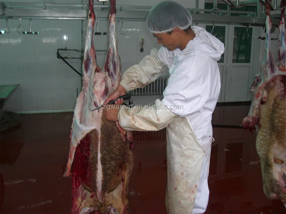 Live Sheep Slaughterhouse Goat abattoir Lamb Slaughter