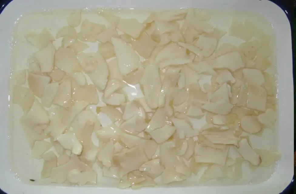 
Canned oyster mushroom 425G for Turkey Market 