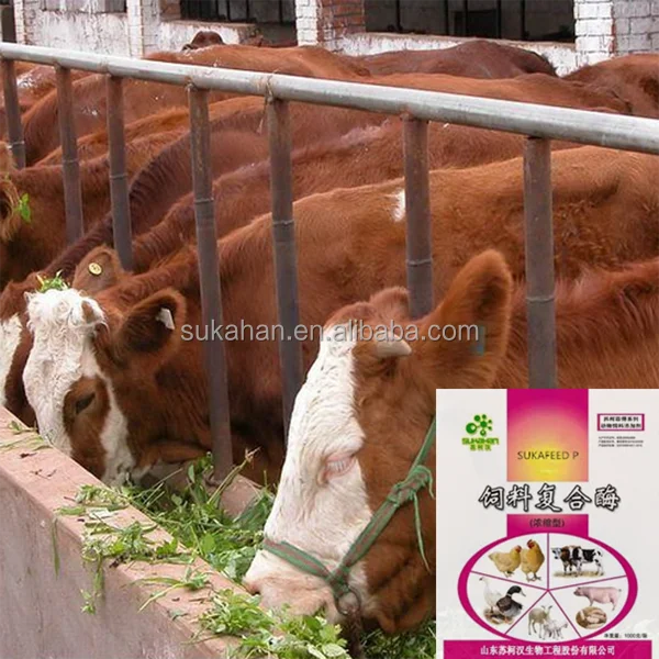 
Cattle Feed Additive Flavour Powder Animal Food Attractant Promote Healthy And Growth 