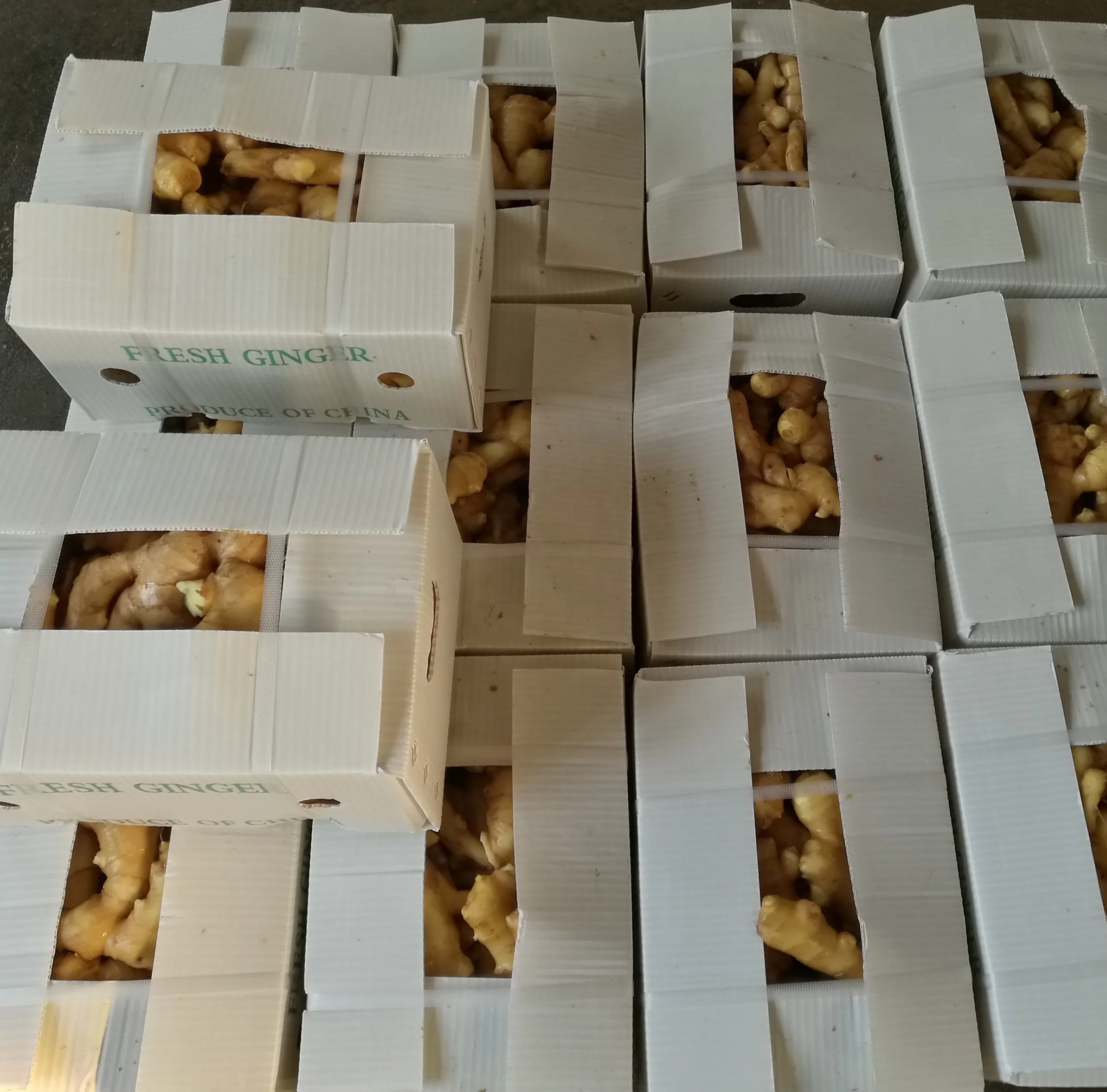 Ginger  sale/pvc carton/paper carton packing