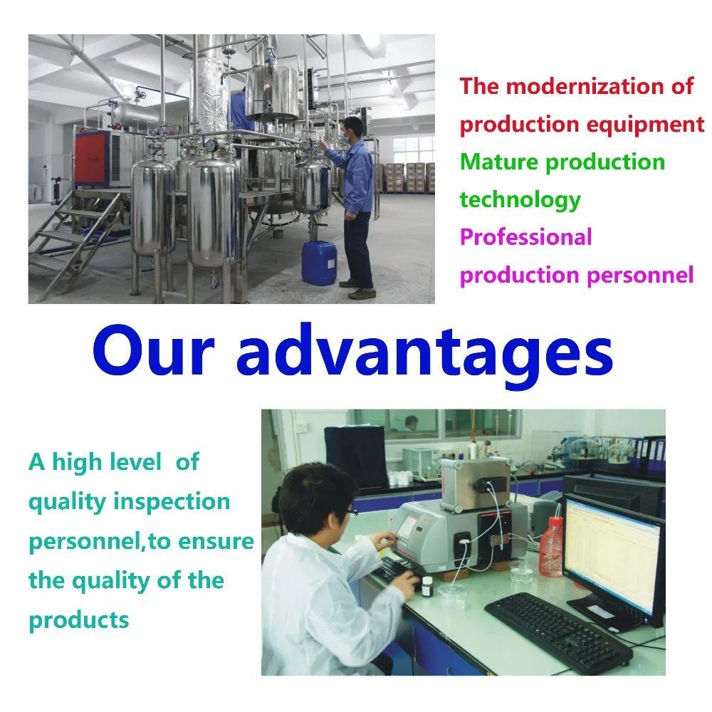 Spicy Chicken seasoning powder chicken flavor oil chicken flavor powder concentrated flavor oil with wholesale price