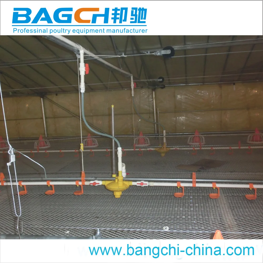 Broiler Sheds Design for Poultry Farm Equipment