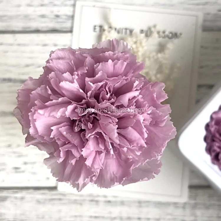 cheap price best quality China 4-5cm preserved carnation flower nice lower