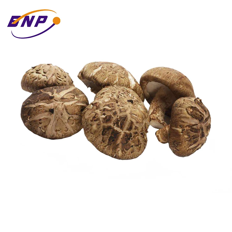 Maitake/Reishi/Shitake порошок экстракта грибов