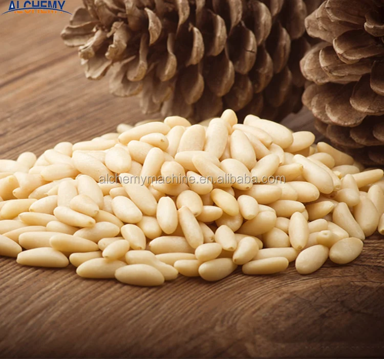 Pine nuts indian name