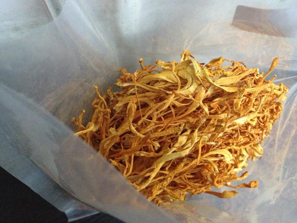 Экстракт Кордицепса китайского, полисахариды грибов