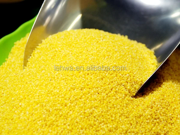 
Spray Dried instant soup grain powder Millet powder with Best price 