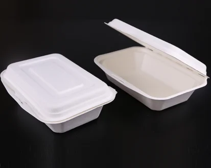 8*8inch sugarcane container bagasse biodegradable 2 compartment compostable takeout containers packaging lunch box