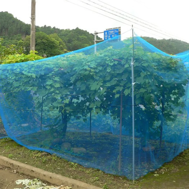 China Factory Wholesale Anti Insect Net For Agricultural