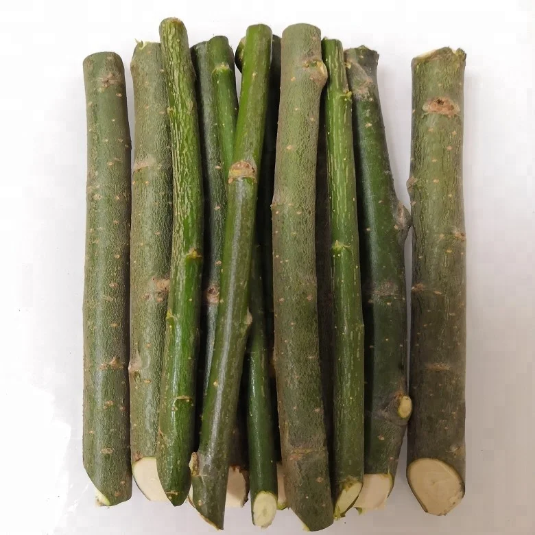 Древесина и древесина свежая резка для посадки