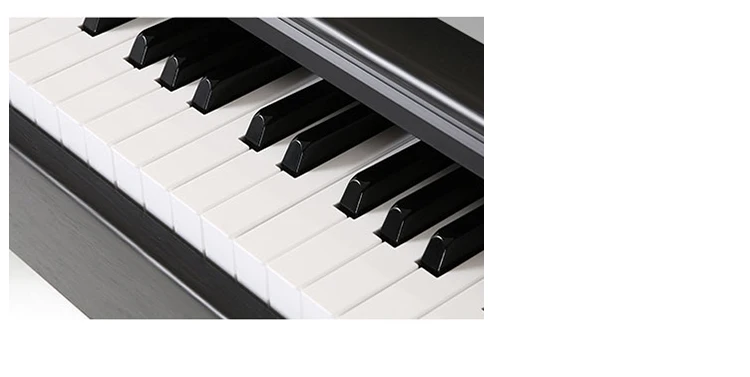 MLS-9919 88 key digital piano