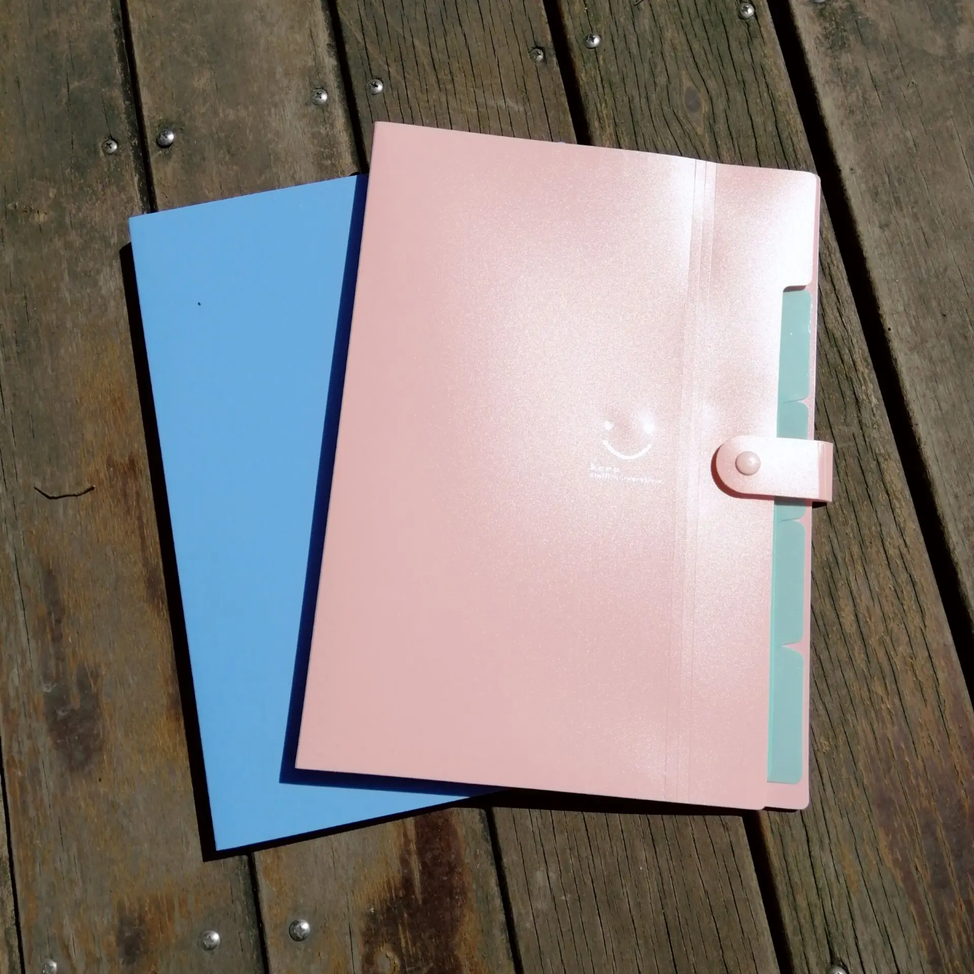 2020 Fashion type China supplier hard cover a3 file folder a3 hard cover file folder plastic file folder a4