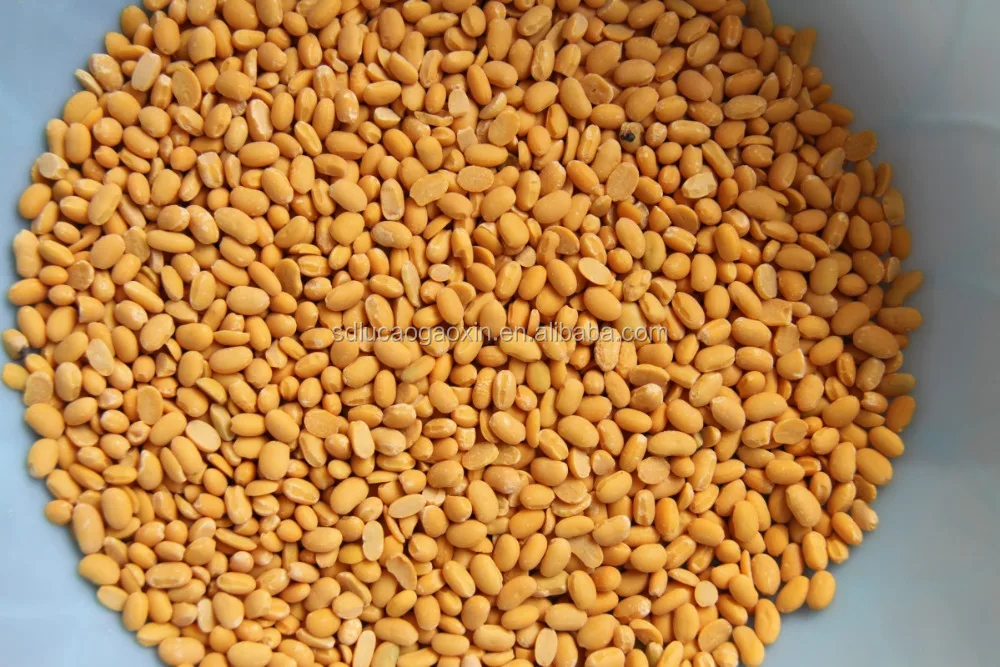 
soybean processing equipment/soya beans peeling machine/soya beans peeler for India 