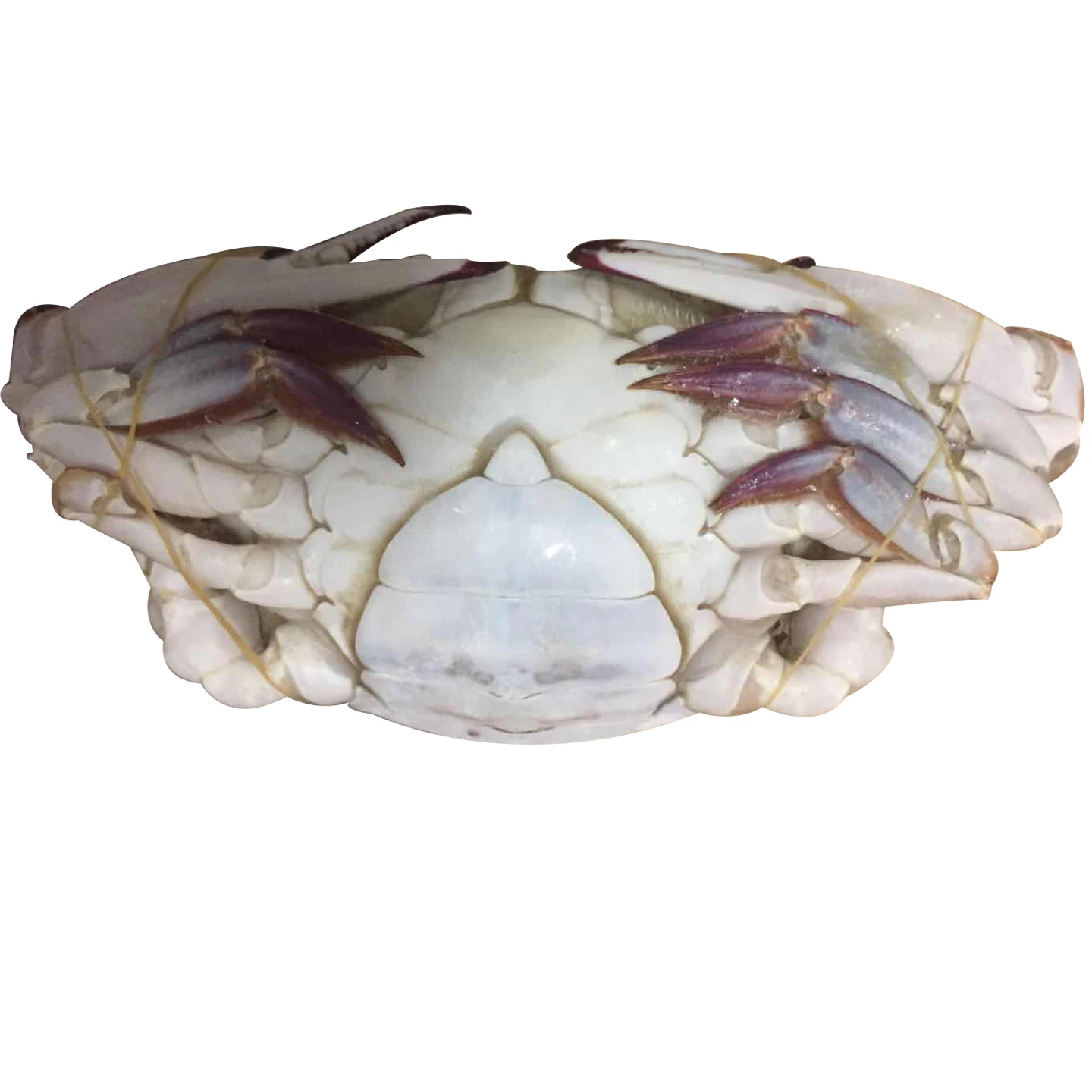 Frozen Soft Shell Crab