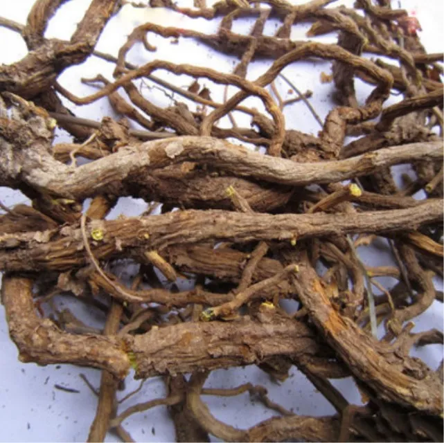 
High quality Chinese baikal skullcap root skullcap herbs tea 