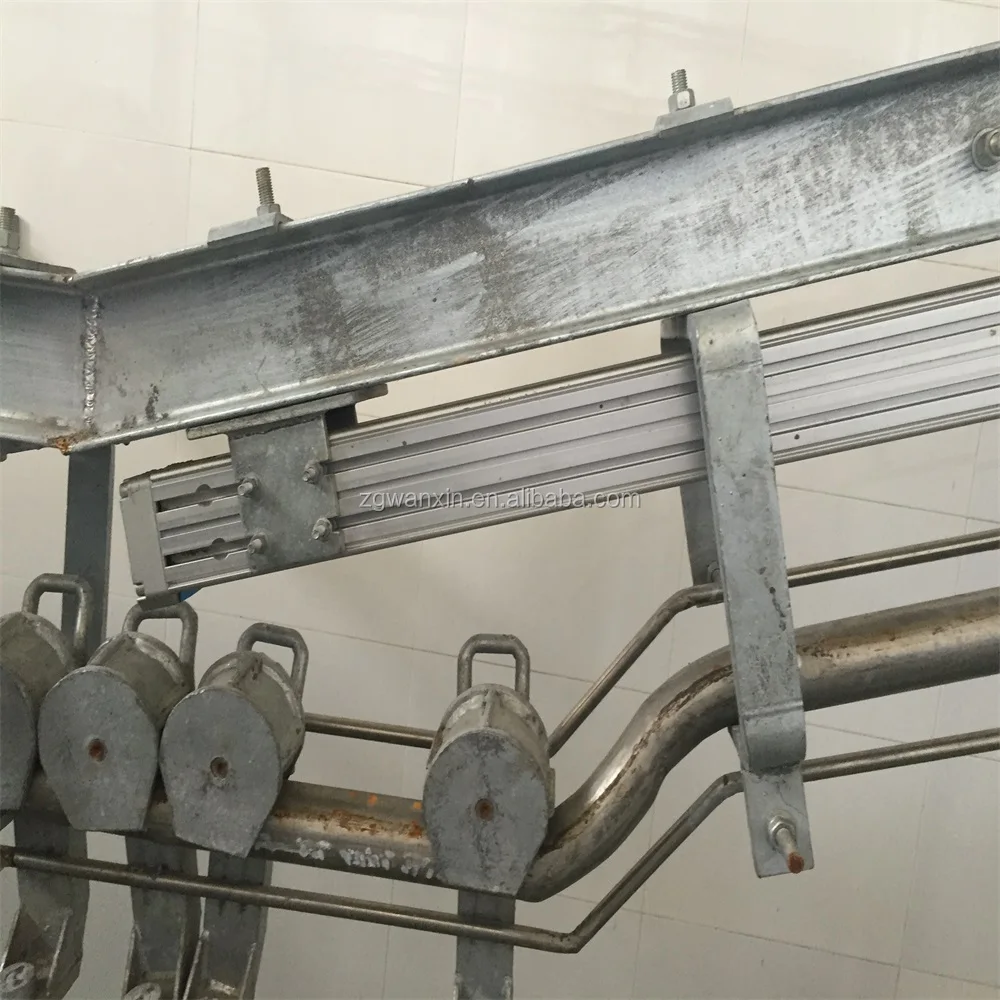 
10/20/30/40/50 head Muslim cattle slaughterhouse equipment 