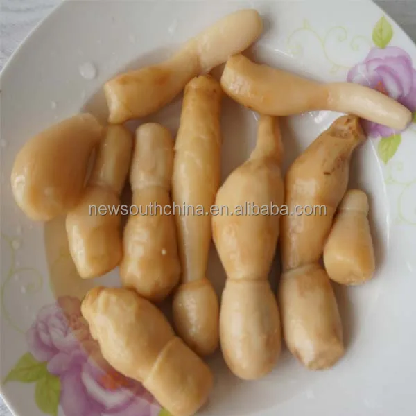 New crop canned drumstick mushroom enoki mushroom 425G